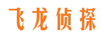 乐东侦探社